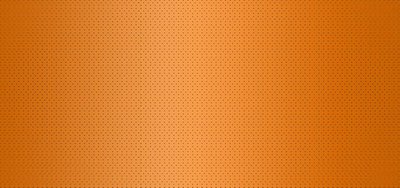 Gray-Dotted копи.jpg